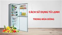 LÀM SAO ĐỂ BẢO QUẢN TỦ LẠNH VÀO MÙA ĐÔNG